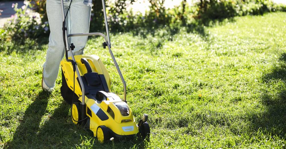 Ein Rasenmäher mäht auf einer Wiese.