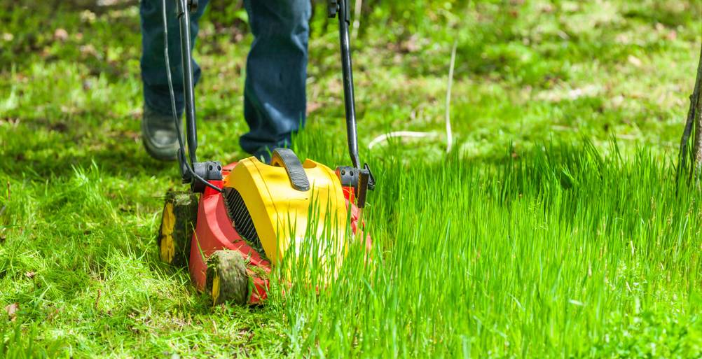 Ein Rasenmäher mäht hohes Gras.