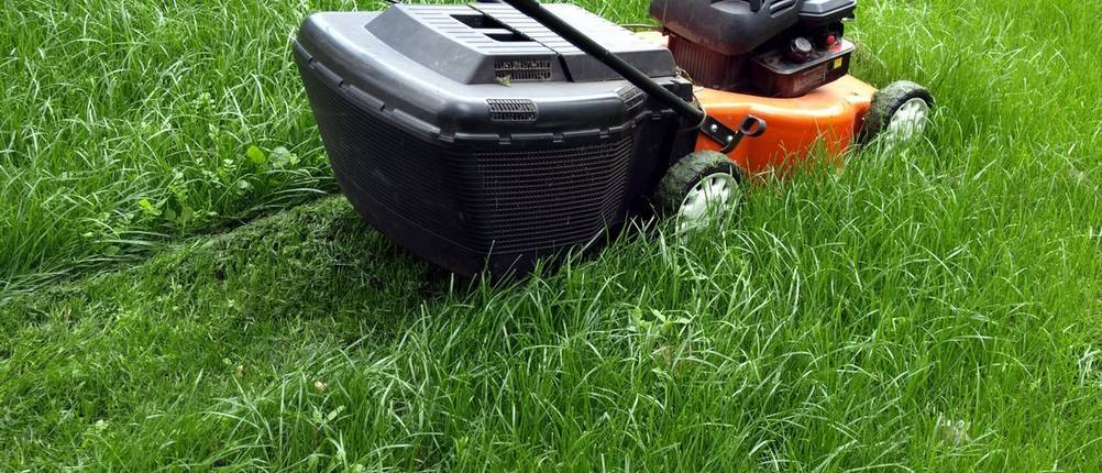 ein Rasenmäher mit Mulchfunktion bei der Arbeit