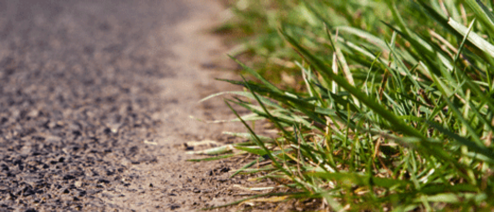 Rasentrimmer-Test: Gras am Rand eines Weges.