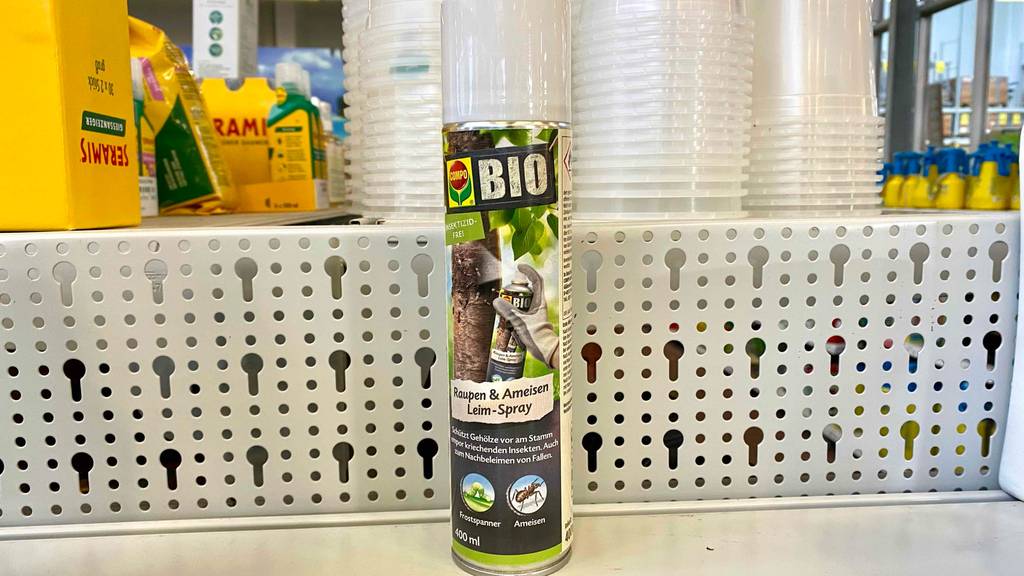 Raupenleim im Test: Biologisches Raupenleim in einer Flasche befindet sich auf einem Regal. 
