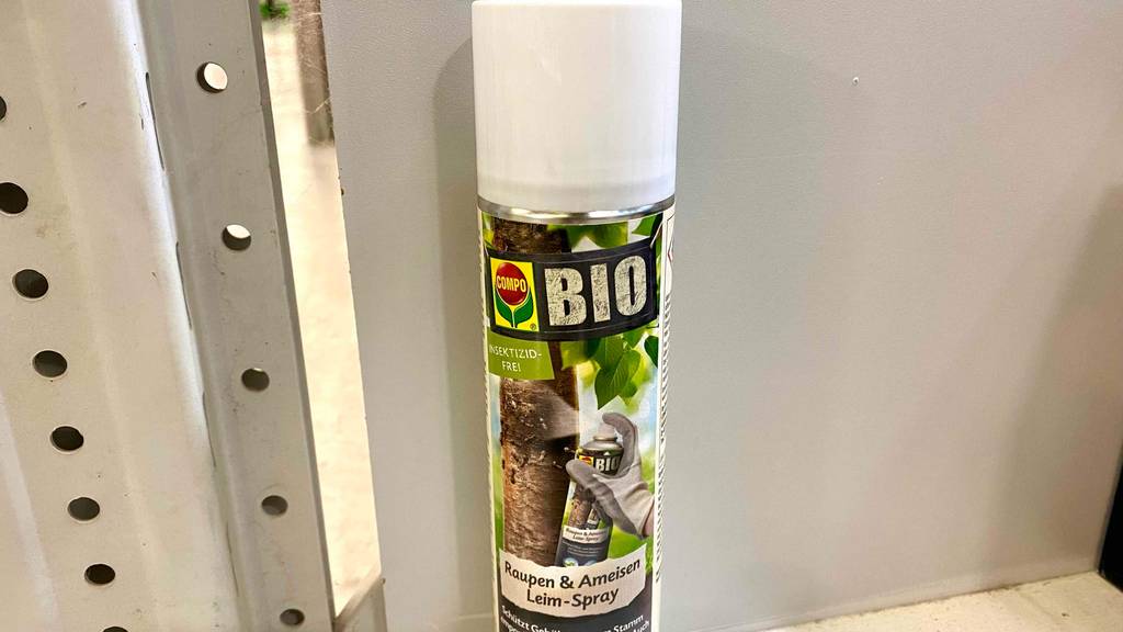 Getestetes Raupenleim aus biologischem Anbau befindet sich in einer Kunststoffflasche.