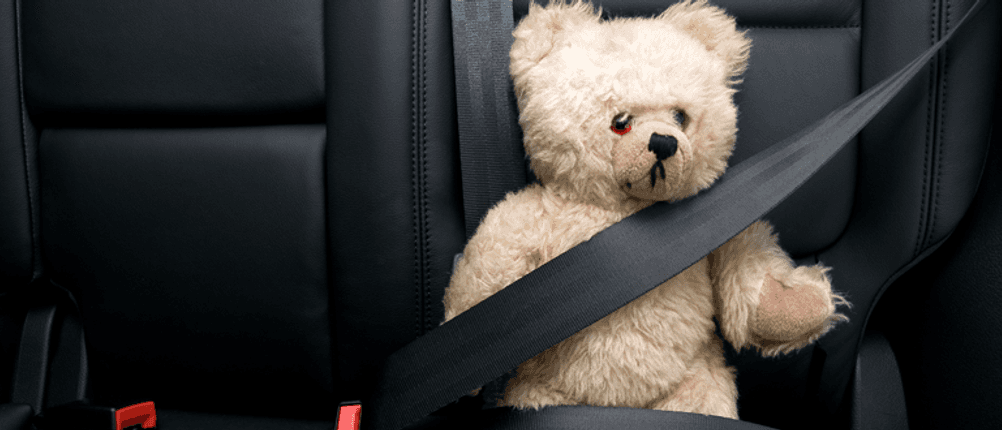 Reboarder test teddy