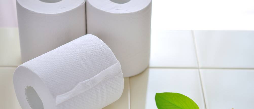 recycling toilettenpapier test