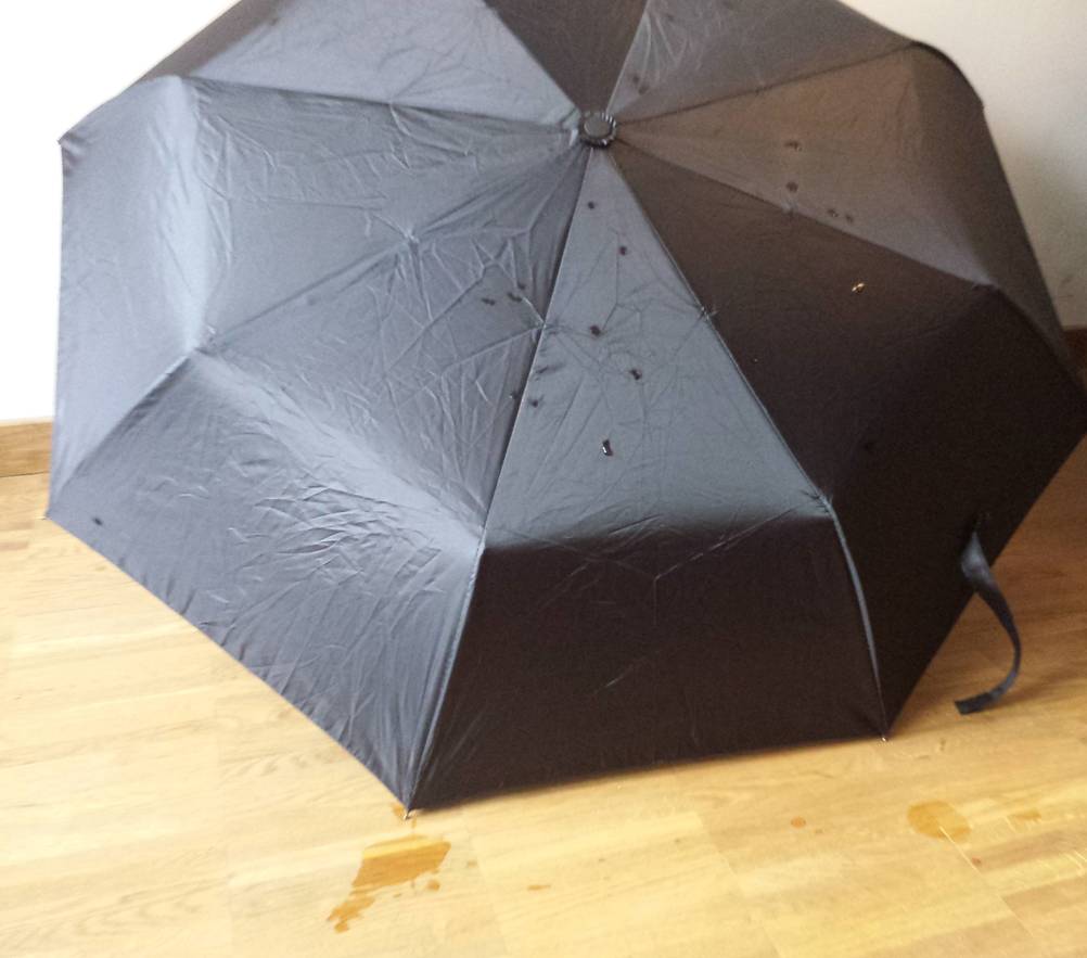 Getesteter schwarzer Regenschirm trocknet schnell auf dem Boden aufgespannt.