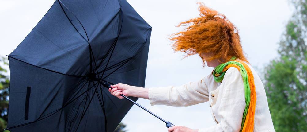 Regenschirm sturmfest Test