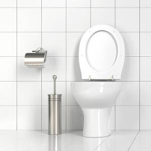 regenwasser toilette
