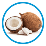 braune kokosnuss kokoswasser woraus