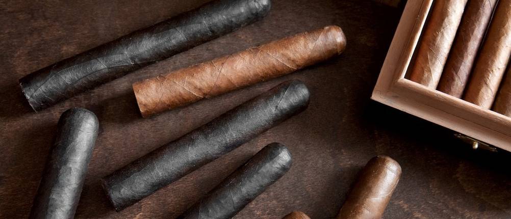reisehumidor test