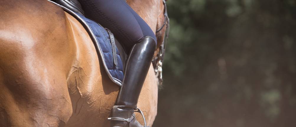 jemand mit Reiterhose beim reiten