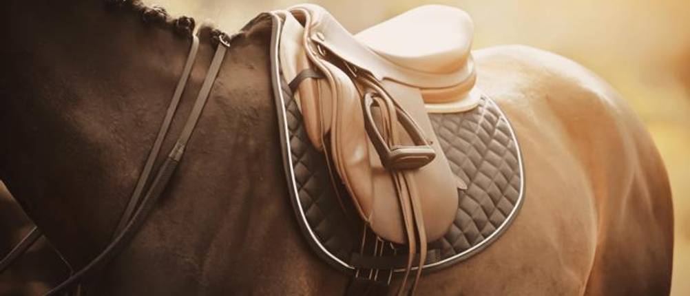 reitsattel-test