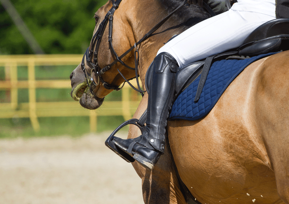 Stiefelspanner im Test: Die Spanner eignen sich auch für Reitstiefel