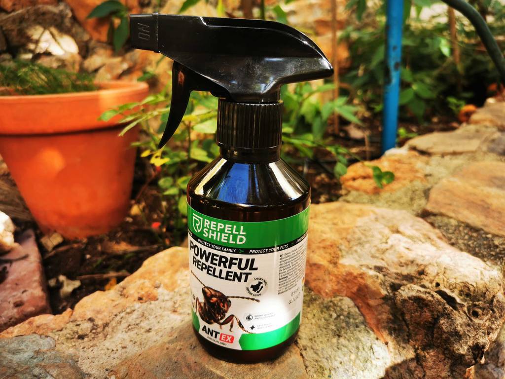 Eine Flasche Ameisenspray steht zum testen auf einem Naturstein.