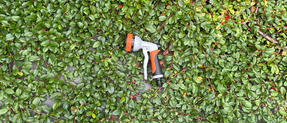 Die Restmo-Gartenbrause liegt auf Pflanzen