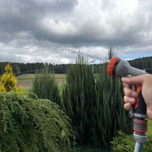 Ein Wasserstrahl kommt aus der Restmo-Gartenbrause