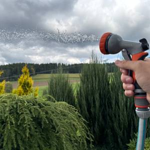 Ein voller Strahl kommt aus der Restmo-Gartenbrause