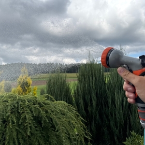 Ein kegelförmiger Strahl kommt aus der Restmo-Gartenbrause