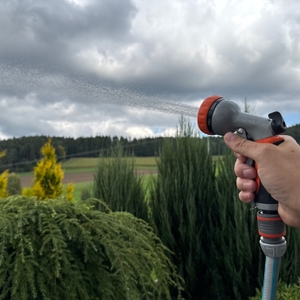 Ein Strahl kommt aus der Mitte der Restmo-Gartenbrause