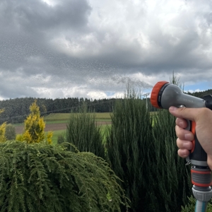 Ein flacher Strahl kommt aus der Restmo-Gartenbrause