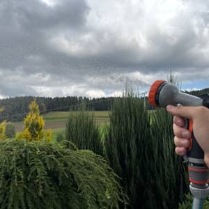 Ein flacher Strahl kommt aus der Restmo-Gartenbrause