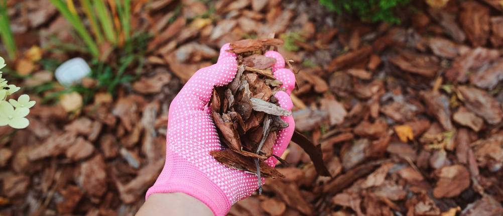 rindenmulch-test