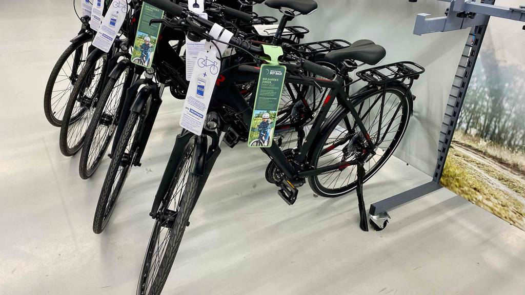 Gravel-Bike im Test: Mehrere Räder stehen nebeneinander in einem weißen Raum.