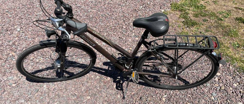 Damenfahrrad Lyon von Rixe Sport.