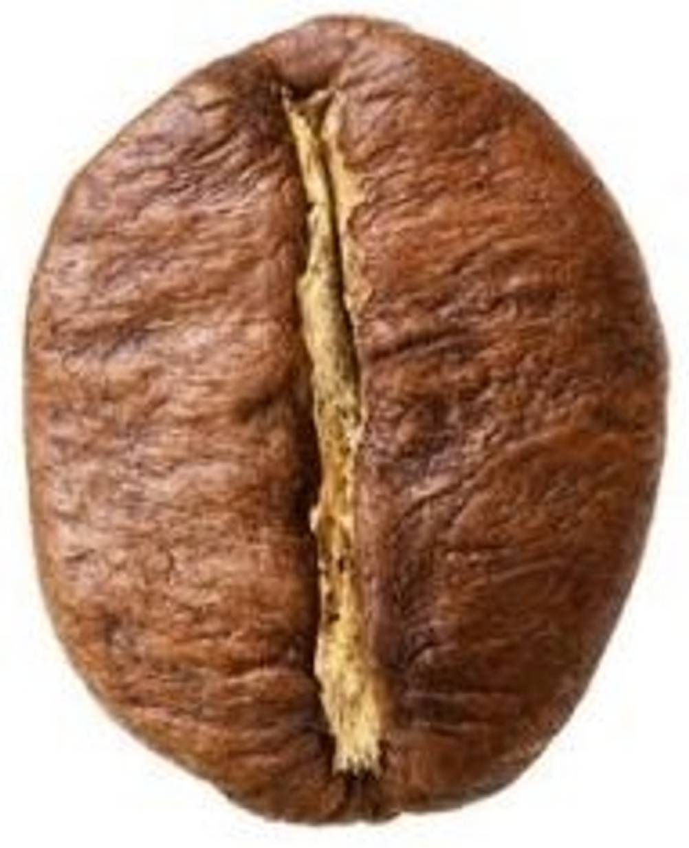 Kaffeebohne der Sorte Robusta