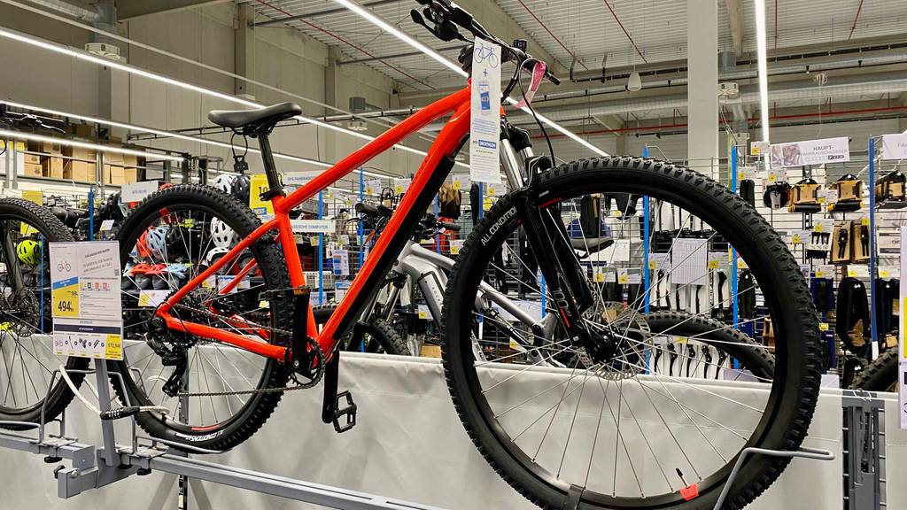 MTB-Fully-Test: MTB-Fully steht auf dem Boden.