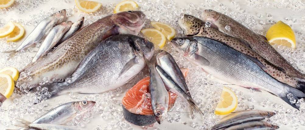 Auswahl frischen Fisches aus der Region