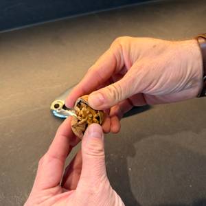 Eine Hand öffnet eine mit dem Rösle 12781 geknackte Walnuss