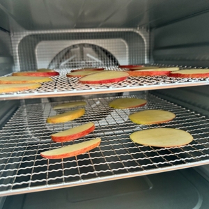 Im Rommelsbacher DA 950 liegen vor dem Dörren Apfelscheiben