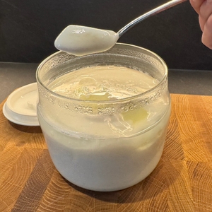 Ein Löffel Joghurt des Rommelsbacher Joghurt- und Frischkäsezubereiter JG80 Jona