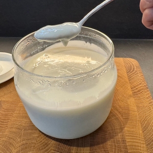 Ein Löffel mit Joghurt aus dem Rommelsbacher Joghurt- und Frischkäsezubereiter JG80 Jona