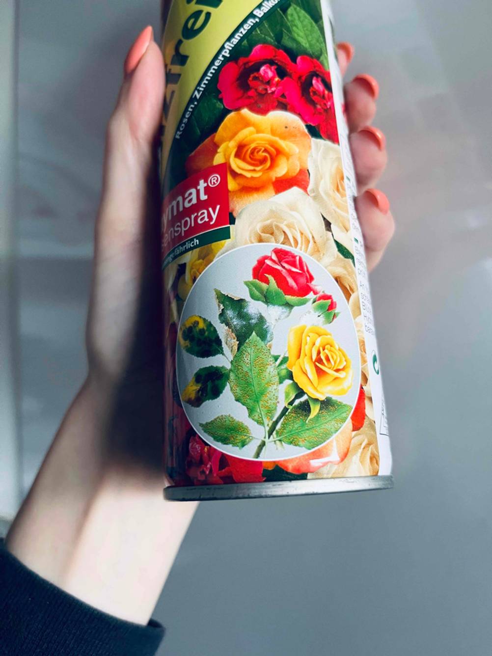 Nahaufnahme des Bodens einer Dose Rosen-Pilzfrei mit Grafiken.