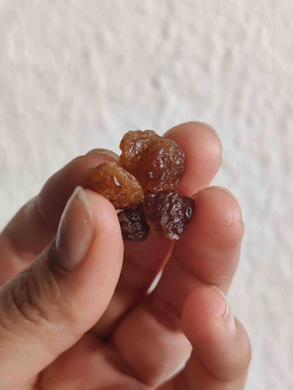 Eine Hand hält fünf getestete Rosinen.