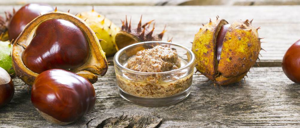 Rosskastanienextrakt-Test: auf einem Holztisch liegen ganze Rosskastanien mit Schale und ein Glasschälchen mit Rosskastaniencreme. 
