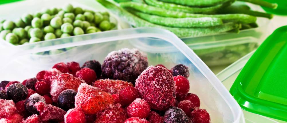 Rotho-Vorratsdose-Test: Eckige Vorratsdose mit geforenen Beeren und Gemüse im Hintergrund