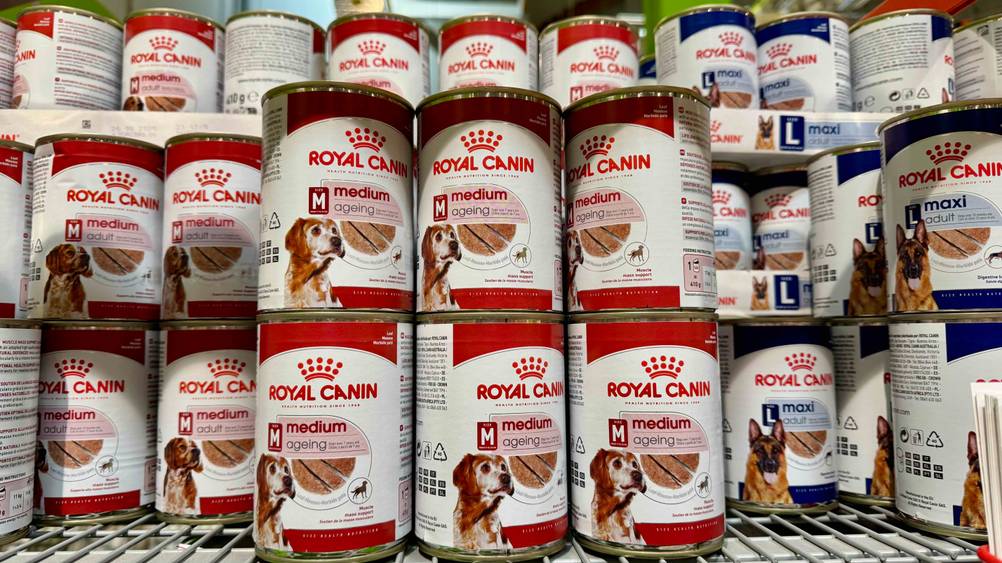 Mehrere Dosen des getesteten Royal-Canin-Nassfutter Hund in einem Verkaufsregal.