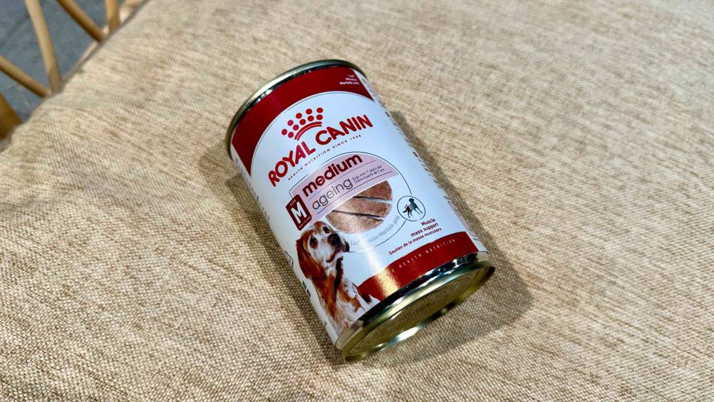 Auf einer beigen Fläche liegt eine Dose Royal-Canin-Nassfutter Hund im Test.