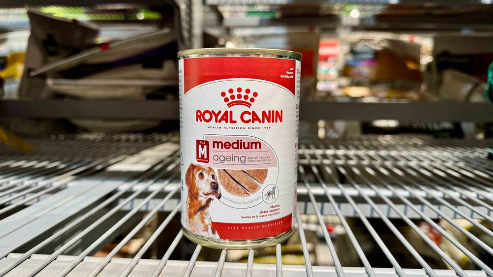 Eine Dose des getesteten Royal-Canin-Nassfutter Hund auf einem Gitter stehend von vorne.