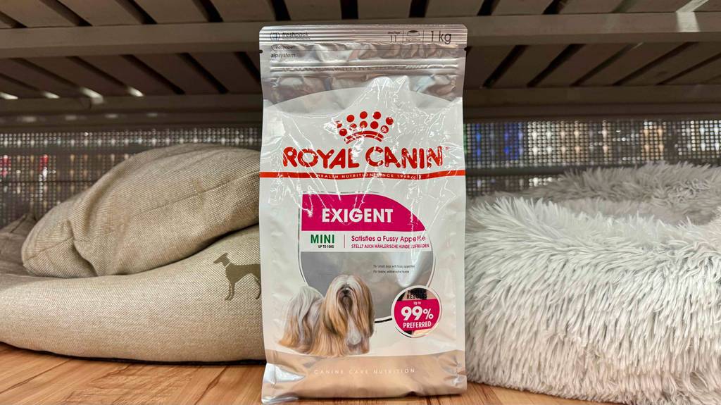 Eine Packung Royal-Canin-Trockenfutter für den Hund steht zum testen vor flauschigen Tierkissen.