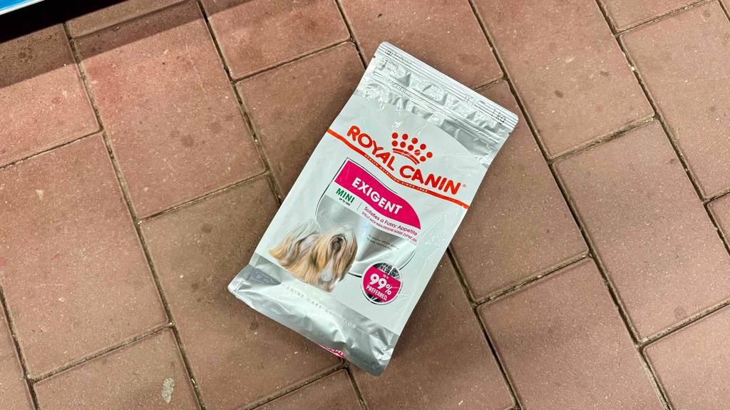 Eine Packung getestetes Royal-Canin-Trockenfutter für den Hund liegt auf einem Boden.
