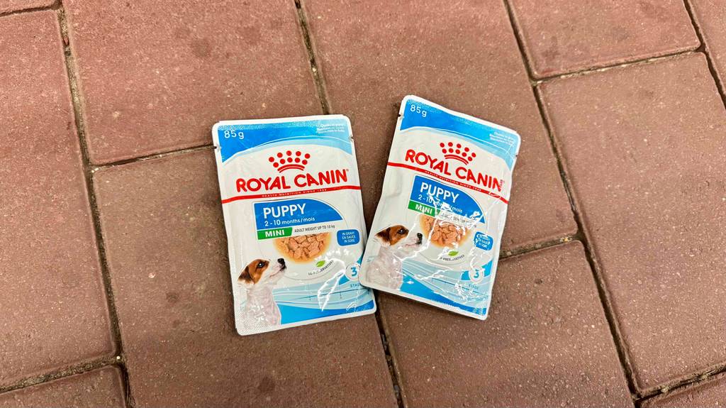 Zwei Packungen Royal Canin-Welpenfutter liegen zum testen auf einem Steinboden.