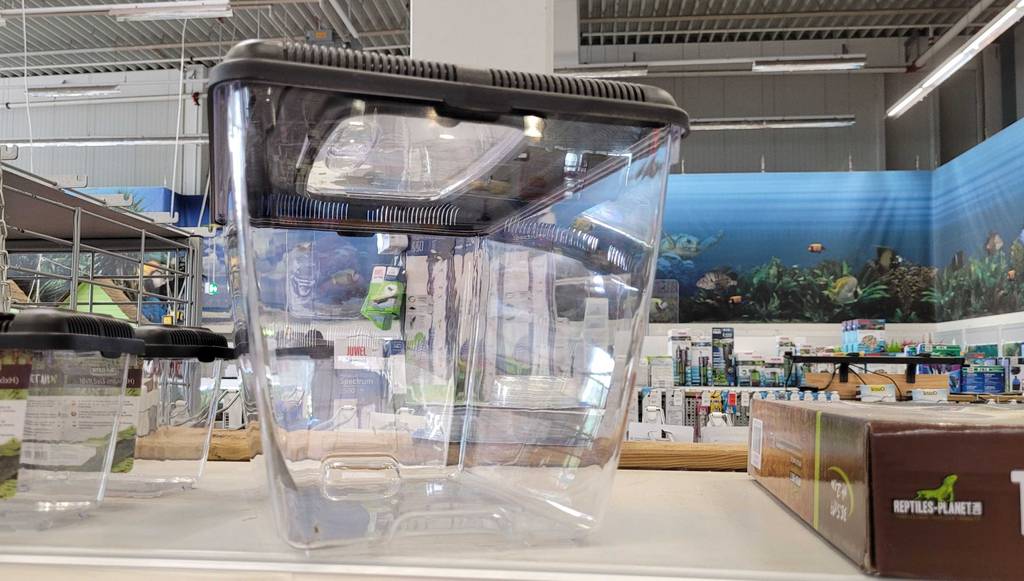 Terrarium-Test: Nahaufnahme von der Seite auf ein im Geschäft ausgestelltes Terrarium.