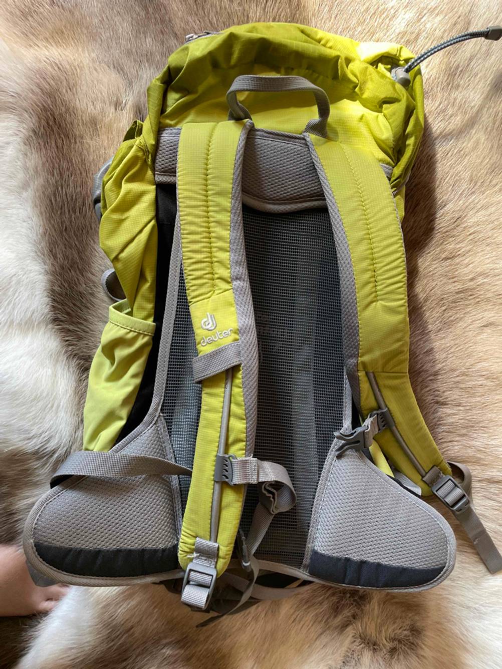 Rückseite eines getesteten Rucksack mit Netzrücken auf einem Fell liegend.