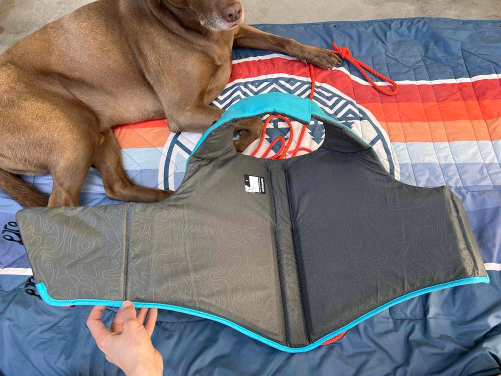 Schwimmweste für Hunde getestet: Innenseite der Weste auf einer Decke mit einem Hund.