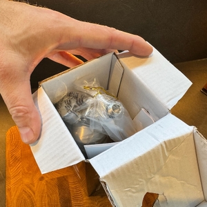 RuneSol-Sahnespender im geöffneten Karton