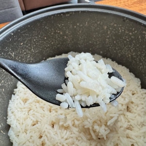 Auf einem Löffel liegt Reis aus dem Russell Hobbs 27080-56