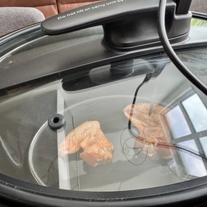 Im Behälter des Russell-Hobbs-3in1-Multikochers liegen während des Kochvorgangs zwei Stücke Fleisch